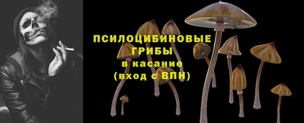 трава Пересвет