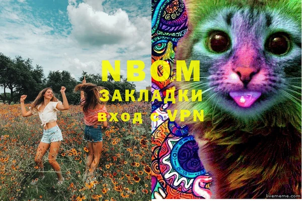 дживик Пестово