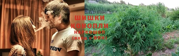 трава Пересвет