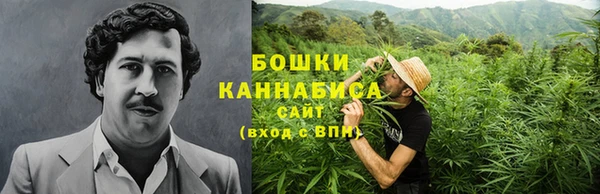 трава Пересвет