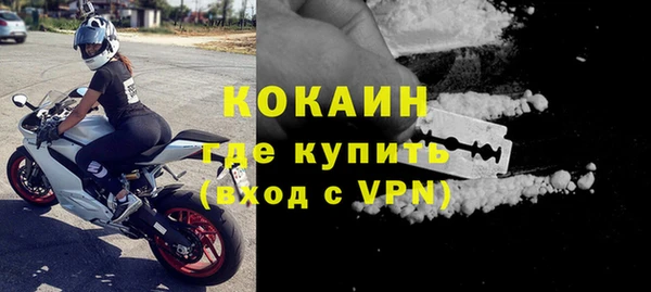 дживик Пестово